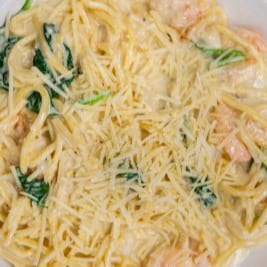 Chicken Alfredo or Shrimp Alfredo.